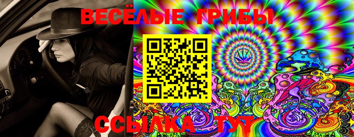 Галлюциногенные грибы GOLDEN TEACHER Кизилюрт
